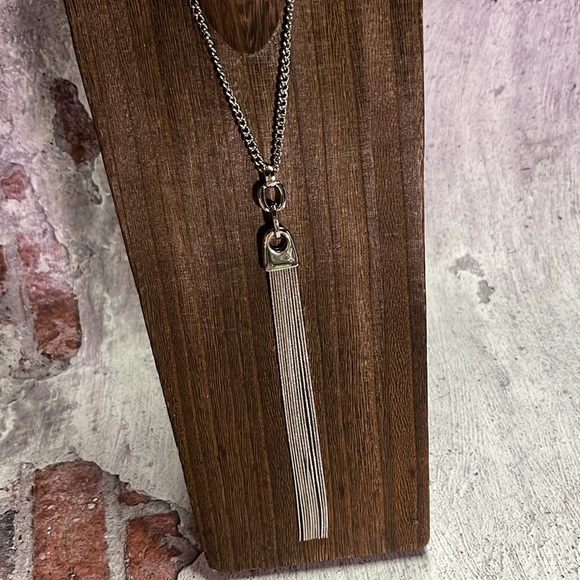 NWT The Limited Long Silver Fringe Tassel Necklace - Picture 2 of 9